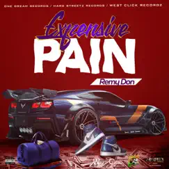 Expensive Pain - Single by Remy Don album reviews, ratings, credits