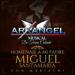 Homenaje a Mi Padre by Arkangel Musical de Tierra Caliente album reviews, ratings, credits