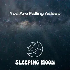 You Are Falling Asleep by Sleeping Moon, Sleep Sleep Sleep & Sleepy Mood album reviews, ratings, credits