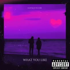 What You Like - Single by Supajunior album reviews, ratings, credits