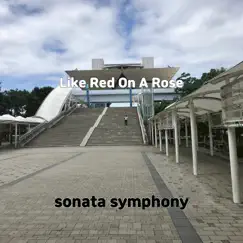 Like Red On a Rose Song Lyrics