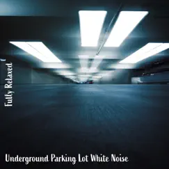 Underground Parking Lot White Noise, Pt. 9 Song Lyrics