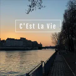 C'est la Vie - Single by Vincent Gold album reviews, ratings, credits
