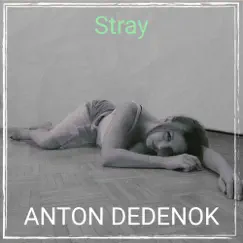 Stray - Single by Anton Dedenok album reviews, ratings, credits