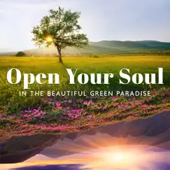 Open Your Soul in the Beautiful Green Paradise by Joshua Forest, Scott Dee & Rita Chakram album reviews, ratings, credits