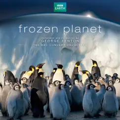 Surfing Penguins Song Lyrics