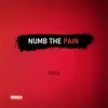 Numb the Pain - Single album lyrics, reviews, download