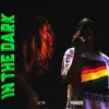 IN the DARK (feat. makeangelscry) - Single album lyrics, reviews, download