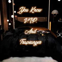 You Know (feat. Trapsanger) - Single by V.I.P. album reviews, ratings, credits