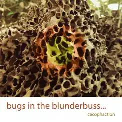 Bugs In the Blunderbuss - Single by Cacophaction album reviews, ratings, credits