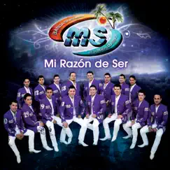 Mi Razón De Ser by Banda MS de Sergio Lizárraga album reviews, ratings, credits