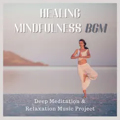 Healing Mindfulness BGM - Deep Meditation & Relaxation Music Project by Martin Mind album reviews, ratings, credits
