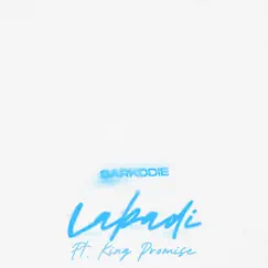 Labadi (feat. King Promise) - Single by Sarkodie album reviews, ratings, credits