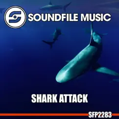 Shark Cage Song Lyrics
