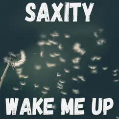 Wake Me Up - Single by Saxity album reviews, ratings, credits