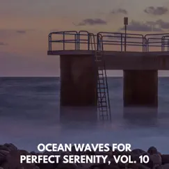 Ocean Waves for Perfect Serenity, Vol. 10 by Various Artists album reviews, ratings, credits
