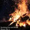 Nature Bonfire View song lyrics