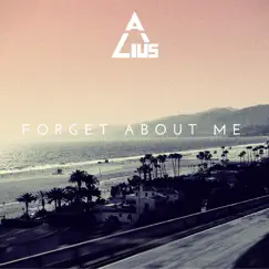 Forget About Me Song Lyrics