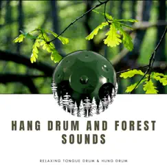 Moonshine Lullaby (Forest Sounds) Song Lyrics