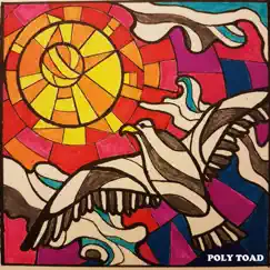 IV by Poly Toad album reviews, ratings, credits