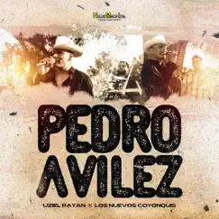 Pedro Aviles - Single by Uziel Payan & Los Nuevos Coyonquis album reviews, ratings, credits