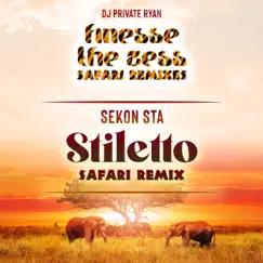 Stiletto (Safari Remix) - Single by DJ Private Ryan & Sekon Sta album reviews, ratings, credits
