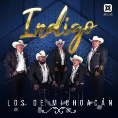 Indigo - Single by Los De Michoacan album reviews, ratings, credits