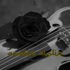 Arabic Violin - Single by Ergit Furtuna & kristian xhaferaj album reviews, ratings, credits