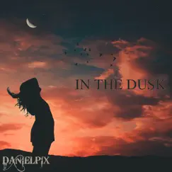 In the Dusk - Single by Danielpix album reviews, ratings, credits
