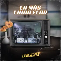 La Más Linda Flor - Single by La Destreza album reviews, ratings, credits
