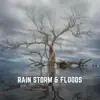 Rain Storm & Floods - Single album lyrics, reviews, download