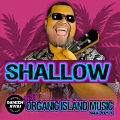 Shallow - Single by Damien Awai album reviews, ratings, credits