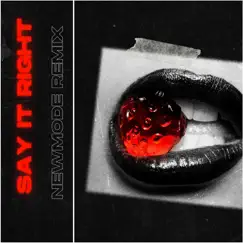 Say It Right (Remix) - Single by Newmode album reviews, ratings, credits
