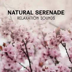 Natural Serenade – Relaxation Sounds, Gentle Meditation, Healing Music for Peace & Harmony, Spiritual Experience by Awesome Nature Sounds Ensemble album reviews, ratings, credits