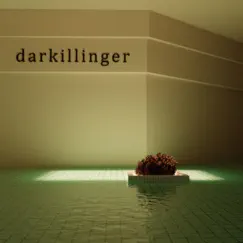 Darkillinger by Lil Darkie & CHRIST DILLINGER album reviews, ratings, credits