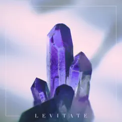 Levitate - Single by My Own System album reviews, ratings, credits