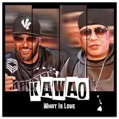 What Is Love - Single by Kawao album reviews, ratings, credits