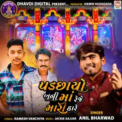 Padchhayo Bani Maa Reje Mari Hare - Single by Anil Bharwad album reviews, ratings, credits