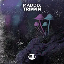 Trippin - Single by Maddix album reviews, ratings, credits