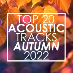 Top 20 Acoustic Tracks Autumn 2022 (Instrumental) by Guitar Tribute Players album reviews, ratings, credits