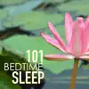 Bedtime Sleep 101 - Tracks for Deep Sleeping album lyrics, reviews, download