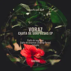 Cajita De Sorpresas (Dryclap Remix) Song Lyrics