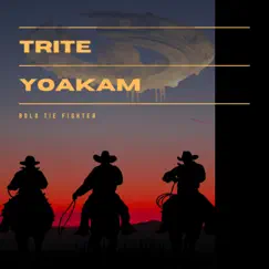 Trite Yoakam - Single by Bolo Tie Fighter album reviews, ratings, credits