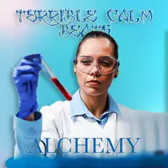 Alchemy - Single by Terrible Calm album reviews, ratings, credits