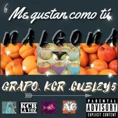 NALGONA (feat. KCR La Voz & Cubley 5) Song Lyrics