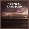 Tropical Rainstorm album lyrics, reviews, download