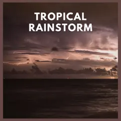 Tropical Rainstorm, Pt. 40 Song Lyrics