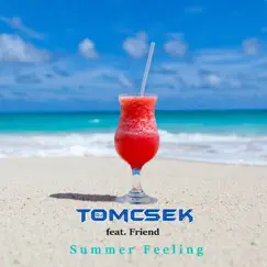 Summer Feeling (feat. Friend) - Single by DJ Tomcsek album reviews, ratings, credits