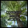 Coconut Mall (From "Mario Kart Wii") [Instrumental Metal Cover] - Single album lyrics, reviews, download
