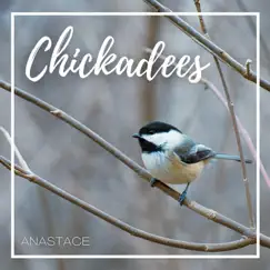 Chickadees - Single by Anastace album reviews, ratings, credits